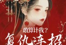 敢算计我？复仇连招已备好小说，敢算计我？复仇连招已备好叶辞书皇甫少御-贝壳文学