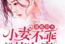 求推荐可以免费阅读甜婚似火:小妻不乖,撩上瘾小说的网站-贝壳文学