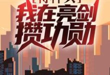 完整版的特种兵:我在亮剑攒功勋小说在哪里可以免费读到?-贝壳文学