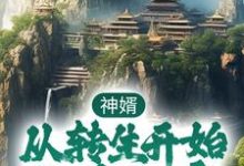 神婿:从转生开始称霸大唐小说,神婿:从转生开始称霸大唐最新章节-贝壳文学