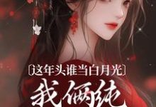 寻找这年头谁当白月光，我俩纯纯走剧情小说的最新更新章节-贝壳文学