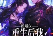 新婚夜：重生后我扑倒冷面霸总免费阅读，新婚夜：重生后我扑倒冷面霸总章节目录-贝壳文学