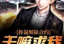 《你说解除合约，干嘛求我回去》全集免费在线阅读（陆洲）-贝壳文学