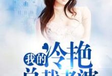 我的冷艳总裁老婆叶落李冰薇小说完结版章节在线阅读-贝壳文学