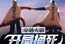 穿越火影:开局捅死宇智波佐助!宇智波叹小说完结版章节在线阅读-贝壳文学