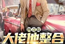 四合院大佬他整合全村资源孟燃，四合院大佬他整合全村资源章节在线阅读-贝壳文学