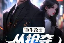 林白顾晴小说完结版在线阅读，重生改命：从抢夺大嫂开始免费看-贝壳文学