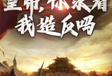 削藩交兵权，皇帝，你求着我造反吗沈河小说在线章节免费阅读-贝壳文学