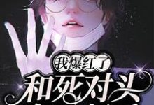 在线寻找和死对头在一起后,我爆红了小说的无删减版本-贝壳文学