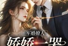 小说《军婚撩人，娇娇一哭，他疯魔了》在线章节阅读-贝壳文学