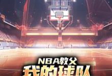 NBA教父：我的球队，只有超级冠军这本小说在哪里可以看？哪里有免费试读章节？-贝壳文学