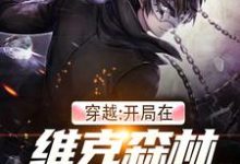 《穿越:开局在维克森林打爆所有人》小说大结局免费试读 高德克里斯阿炮小说-贝壳文学