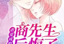 小说《虐爱成瘾：商先生后悔了》章节免费阅读-贝壳文学