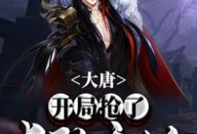 大唐:开局抢了长孙无垢小说有没有完结版在线?-贝壳文学