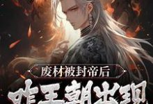 废材被封帝后,咋王朝出现盛世了?小说的无弹窗阅读体验,寻找免费阅读网站-贝壳文学